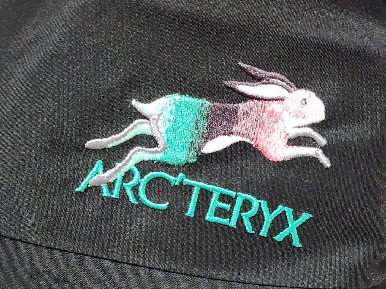 始祖鳥刺繡細節.jpeg