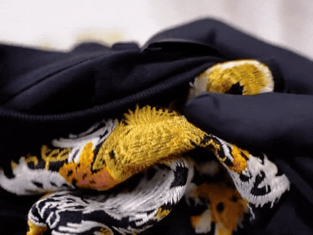 5.gif