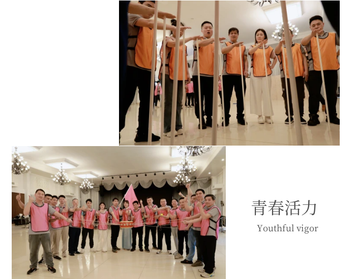不倒森林.png