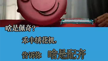 啥叫佩奇，禾豐幫你配齊